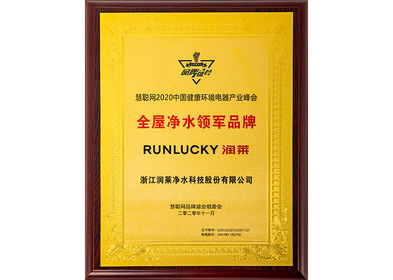 2020 Leading Brand of Whole House Water Filter Award of HC360